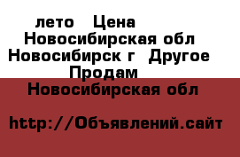 Michelin 225/65R17 лето › Цена ­ 4 000 - Новосибирская обл., Новосибирск г. Другое » Продам   . Новосибирская обл.